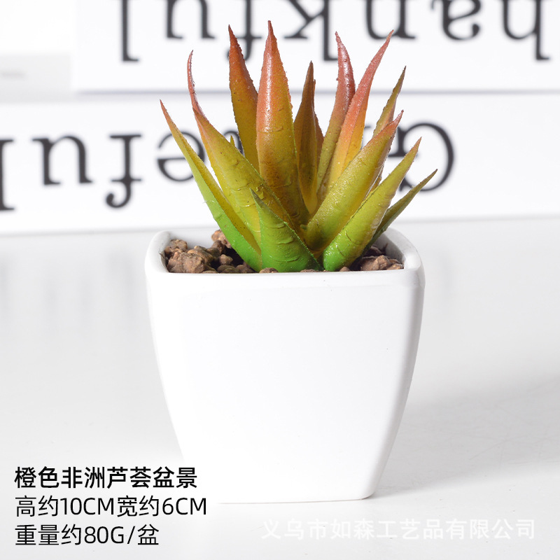 Simulación de plástico carnoso bonsai flor falsa combinación oficina interior escritorio plantas verdes pequeños adornos plantas artificiales al por mayor image 9