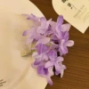 Double purple hairpin (BB0928)