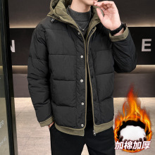 2025�Bñ�޷��ж������L�ӽq�Ӻ���H����40DС�װ���Ʒ�|�Ӻ��B
