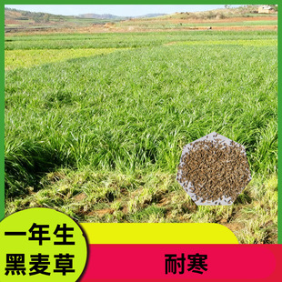 �߮a�����ݷN�Ѷ��������ݷN�������Bֳ�ݷN�u��ţ���~�ݷN���ļ�