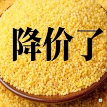 山西黄小米小米新米农家黄小米五谷杂粮米油小米粥农家小米