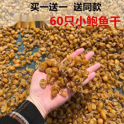 鮑魚幹特級幹貨小仔海鮮幹貨煲湯煲粥佛跳牆食材買壹送壹廠家批發