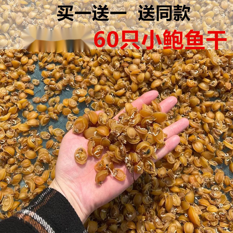 鲍鱼干特级干货小仔海鲜干货煲汤煲粥佛跳墙食材买一送一厂家批发|ru