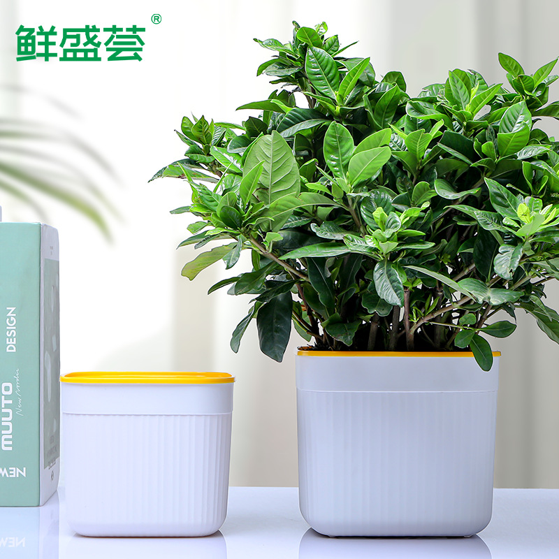 Nordic Style Vertical Striped Lazy Flower Pot, Fragrant Wood Green Plant Water-Absorbing Flower Pot, European Elegant Flower Pot