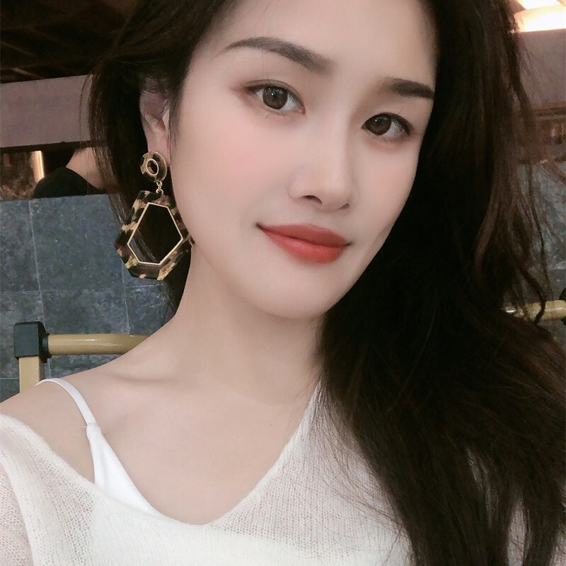 欧美跨境chic风波点豹纹几何银针耳环女中高品高级感个性夸张耳饰|undefined