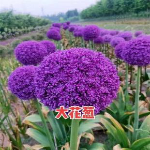 �M�ڴ��[�N�����Ի���ֲ��ͥԺ���Ի��N����o�����_���ͺ����]
