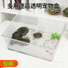 爬虫爬宠高透明宠物盒蜈蚣角蛙龟蜗牛饲养盒宠物塑料饲养箱乌龟缸