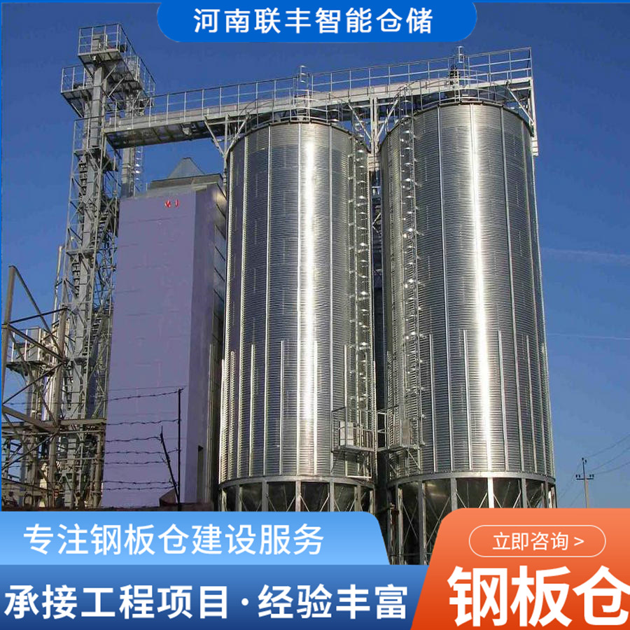 100吨稻谷储存仓公司储罐专业粮仓生产厂家 平底锥底钢板仓