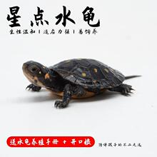 ���c������������w���cˮ��ꑵغ�Ҋ������ˮ������W�t�M����