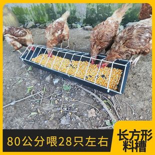 New Chicken Feeding Trough, Automatic Chicken Feeder, Free-Range Chicken Feeding Trough, Chicken, Duck, Goose and Beef Tendon Basin