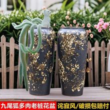 βÑϘ⻨մֹԌL¿Ӻˮ͸