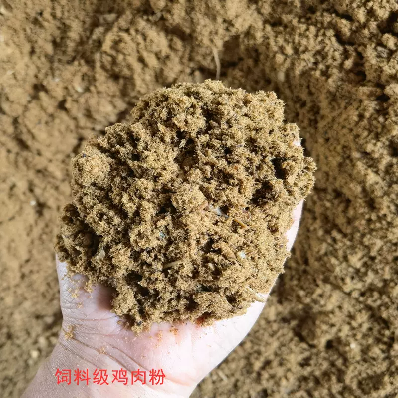 批发鸡肉粉 脱脂鸡肉粉 厂家现货 供应宠物用鸡肉粉