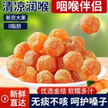 ���ǽ�۸ɸʲݽ��������ɽѩ��500g���b�����Ӹ����T������ʳ