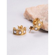 Z 39181 Stainless steel women's earrings ����־���Ů�����