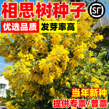 ˼NӼ~̨˼z˼̨˼зNӈ@־G