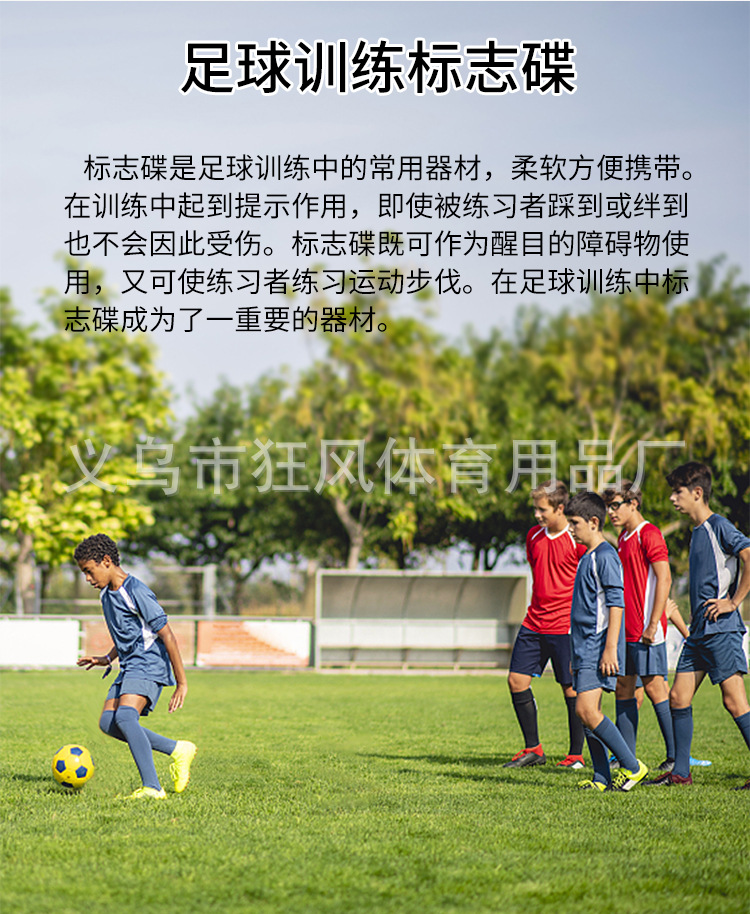 标志碟_05.jpg