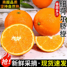 ���ڼ~�ɠ�Ě�����r����ˮ�������Fժ�ք�������������wĚ������