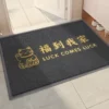 Gray-Nafu Cat-Fu comes to my home