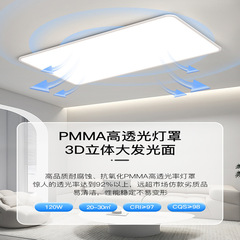 全光譜護眼客廳燈廣東中山燈具現代簡約大廳主燈極簡長方形吸頂燈