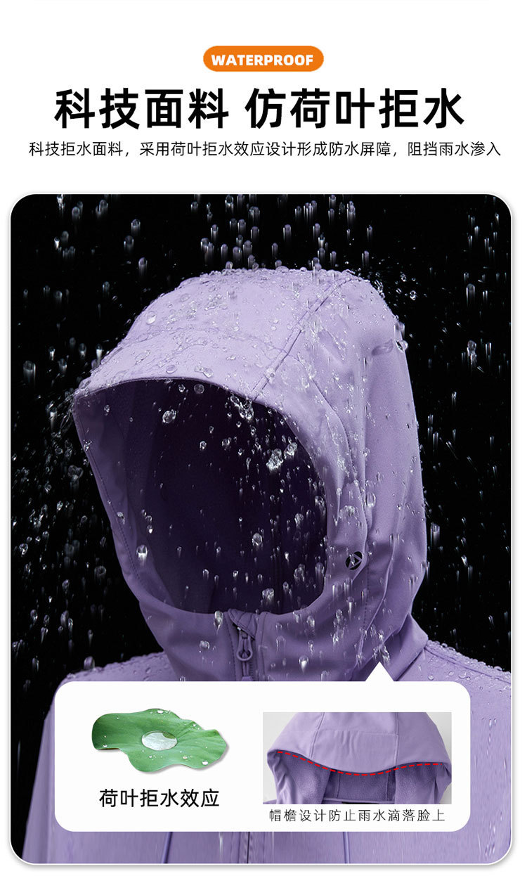 750_01_05.jpg