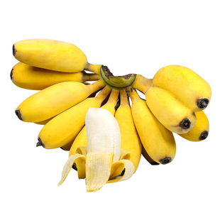�V��С�׽����l 3/5/9�������������ˮ��ܛŴ����a��һ�����l