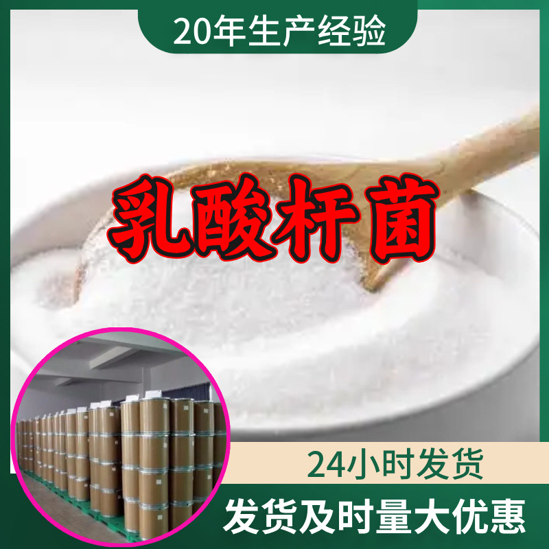 乳酸杆菌 源头工厂工业级分析客户至上满意的服务山东浙江上海