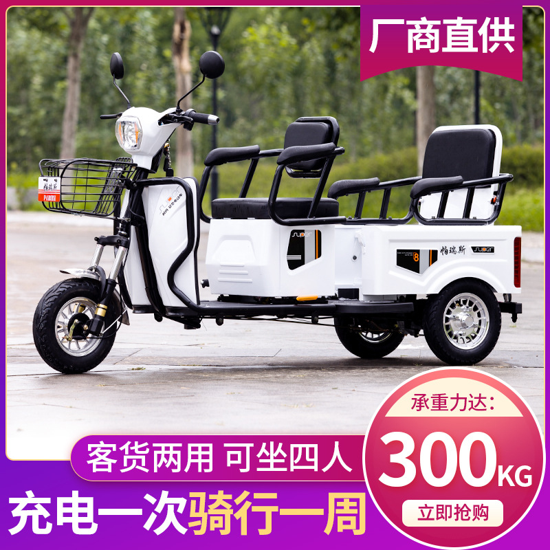 Электровелосипед Palez Small Bucket базовый 48V 600W