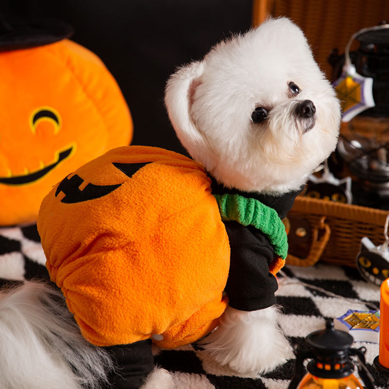 Otoño e Invierno perro Halloween Navidad calabaza luz transformación traje divertido gato dos pies mascota peluche perro ropa