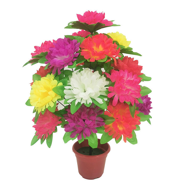18-headed chrysanthemum with leaves (color) 1 branch - 1 branch + flowerpot quality choice