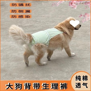 Dog Physiological Pants for Large Dogs, Harness for Golden Retrievers and Labradors, Female Dog Pants for Menstrual Period, Anti-Harassment Sanitary Pants