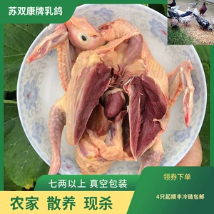 [批发苏双康牌冻鸽子肉食用农家散养活体现杀肉鸽子新鲜鸽子肉乳鸽]