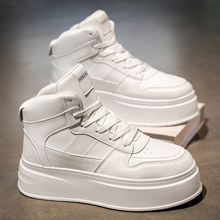 СЬЬ¿\eЬpУ@ڰ؈Ь