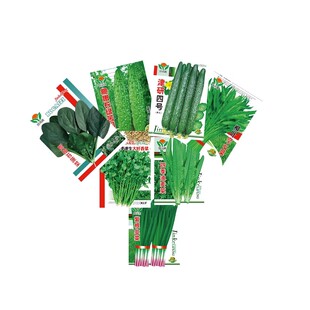 �߲˷N����˷������������S�϶����������}���ײ��ļ����N�Ӵ�ȫ