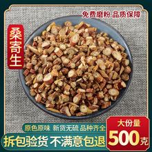 中药材正品优质野生桑寄生500克包邮 精选特级新货广西梧州寄生茶
