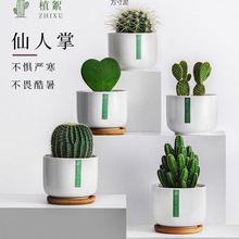 �����������҃Ȼ������������X����GֲС���Կɐ۶���ֲ���辰