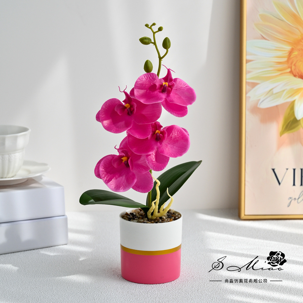 4 flores se sienten Phalaenopsis bonsái simulación de moda maceta flores falsas decoración del hogar fotografía de flores artificiales flores de bodas pequeñas image 3