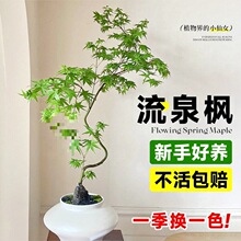 ��Ȫ���������;W�t���;Gֲ�҃��k���ҿ͏d���B���ļ��u׃ɫ