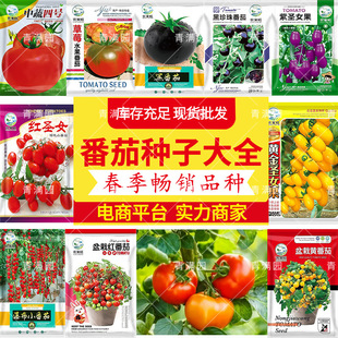 ���l������̖�߲˷N�Ӵ����̨���Թ���ͥԺ�Nֲ�������t���N��