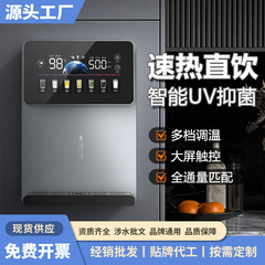 浄水器加熱コンパニオン 家庭用直飲機 冷温一体型壁掛けスマート音声アナウンス速熱パイプラインマシン