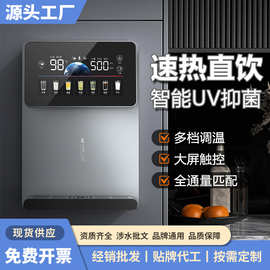 净水器加热伴侣家用直饮机冷热一体机壁挂智能语音播报速热管线机