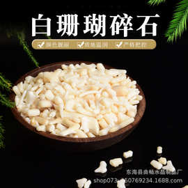 天然南海白珊瑚碎石 香薰石扩香石鱼缸花盆装饰石 消磁石供佛碎石