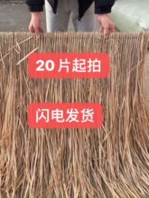 é������b�����ë��é�ݾ��^�@��ľ���b�����������