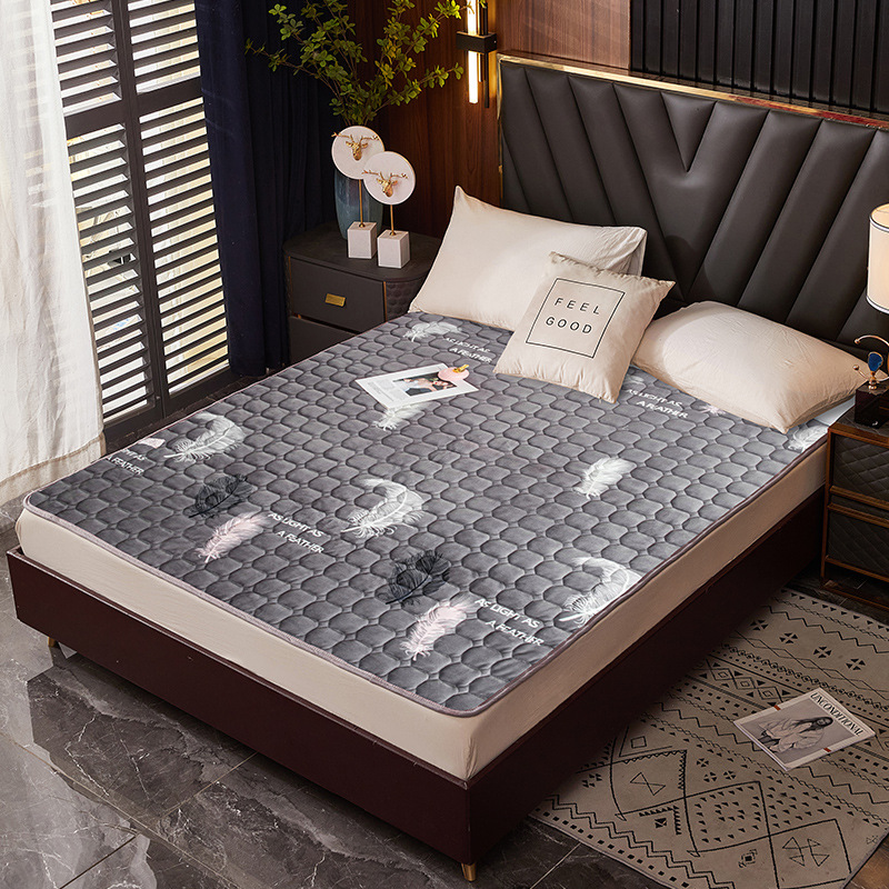 화려한 깃털 회색