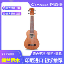 ��ľӡ����ȿ�������/Ů���W��21/23/26������С�������T��ͯ