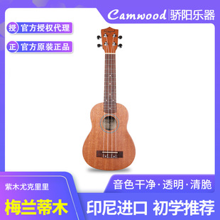 ��ľӡ����ȿ�������/Ů���W��21/23/26������С�������T��ͯ