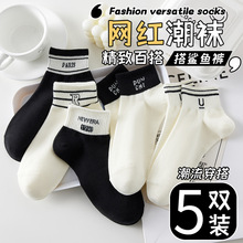 С���m��Ů�\��ins����ɫ���m��ɫ�＾��Ͳ��ͨ�ٴ�W�t���m��