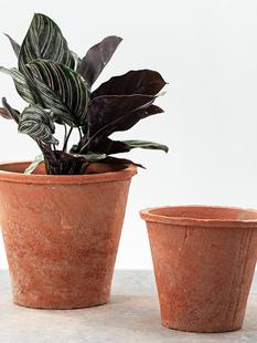 ���Ͳ�����t����ɽ��������������lؔ������͹�͸����ʽ������