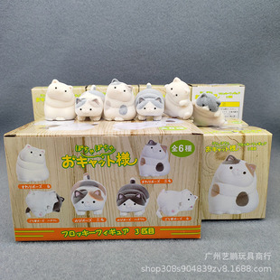 ֲ�q6���؈ ä�� ��˹؈ ���� Ӣ�� ؈�� �е� �п�̨�b[��