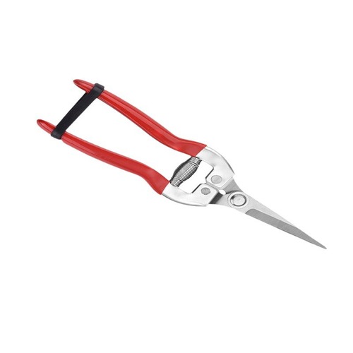 Manufacturer direct supply wholesale stainless steel dipped pruning fruit grape vegetable rare fruit branch pruning fruit branch shear