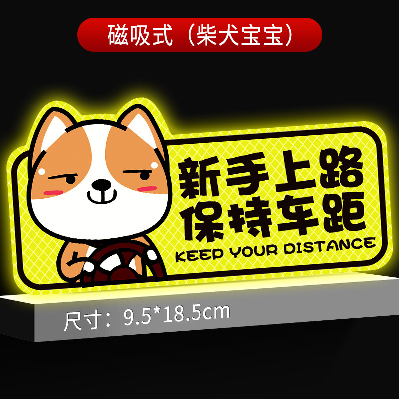 자기 스타일/시바견